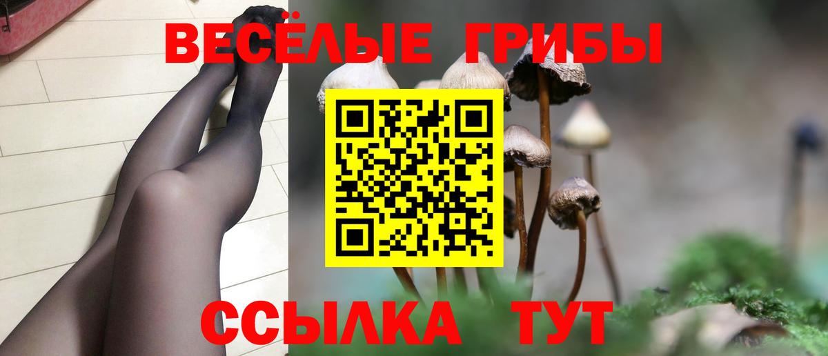 Галлюциногенные грибы Magic Shrooms Десногорск